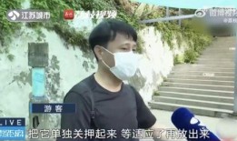 吃瓜网红被拐卖